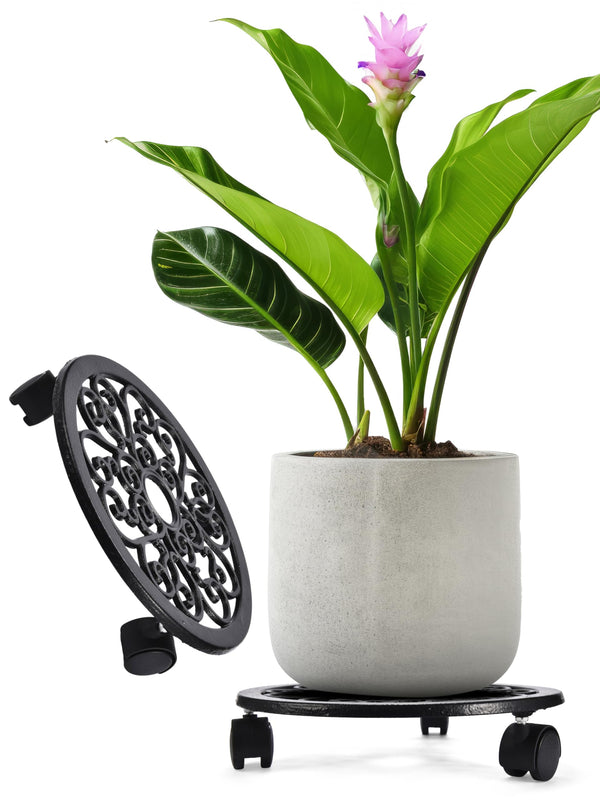 2WAYZ Plant Stand with Wheels - Heavy-Duty Rolling Plant Caddy - Dolly Base with Roller for Large Potted Plants and Flower Pot - Ideal for Indoor and Outdoor Planters - Set of 1 - Black - image 1
